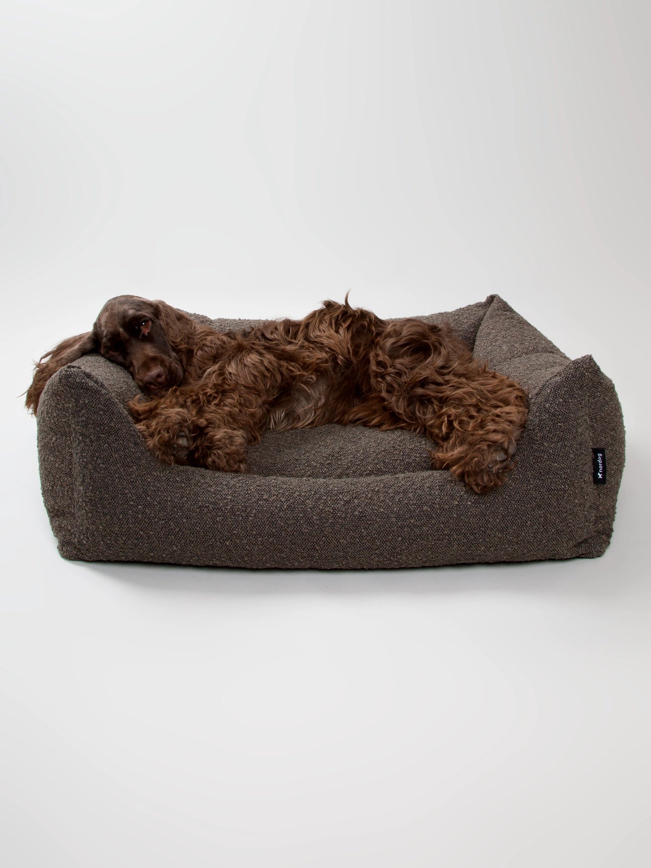Billy Bouclé Hundeseng Mocka