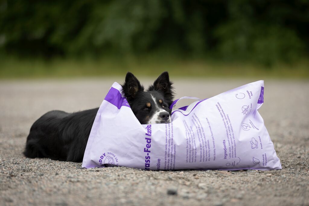 Buddy Græsfodret Lam 2 kg