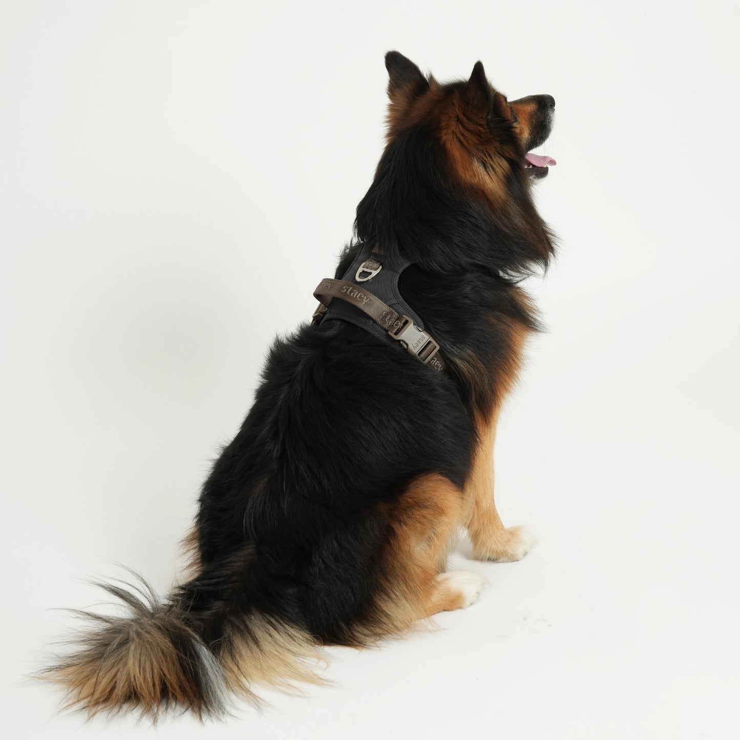 Elma Active Hundesele | Storm