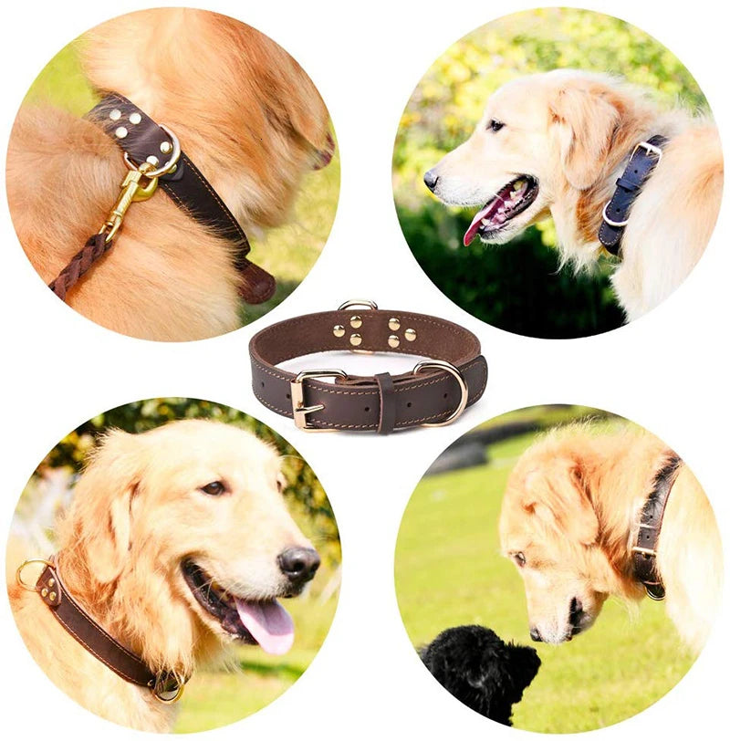 Benepaw Læder Hundehalsbånd