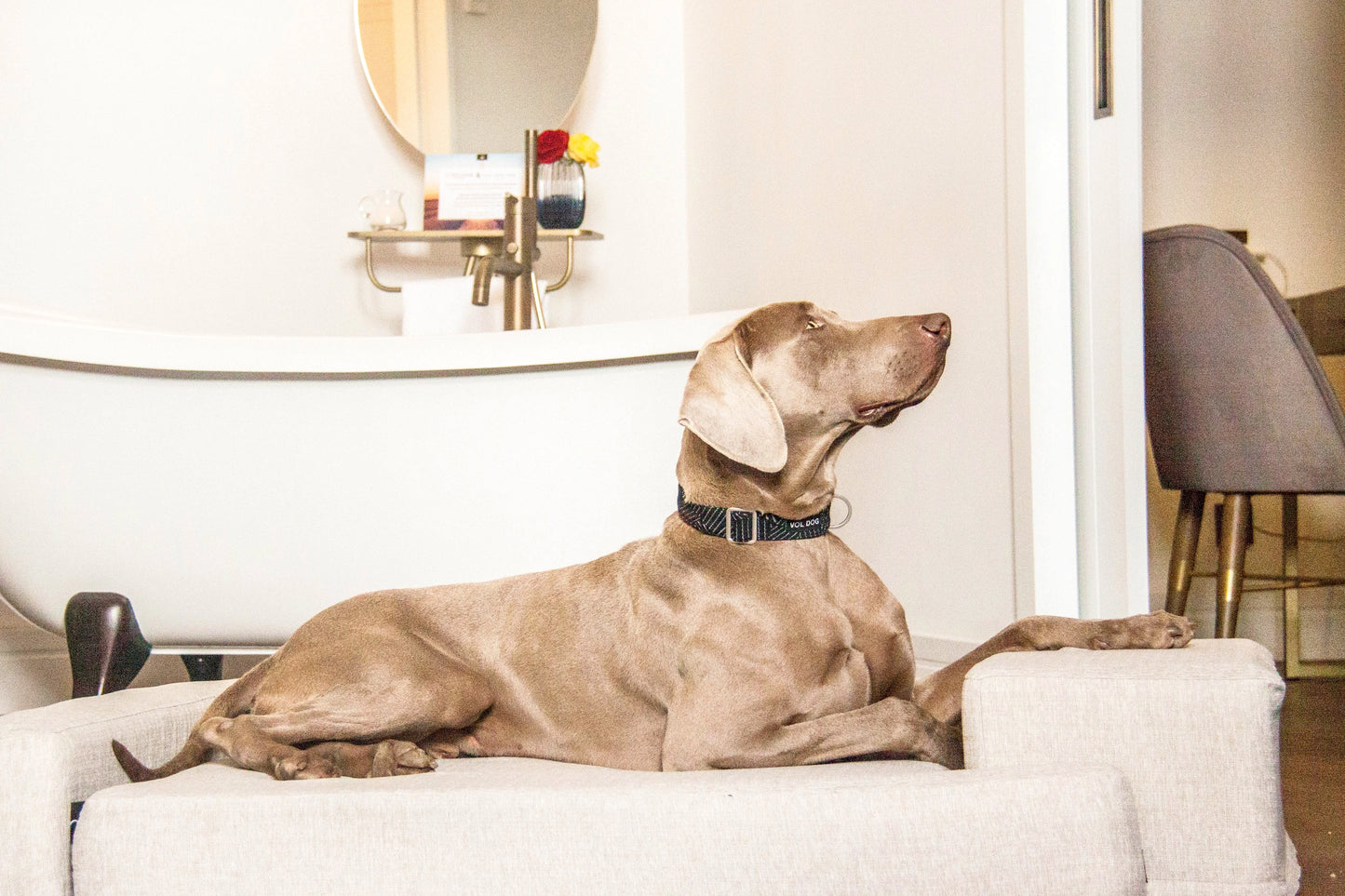 Sofa Hundeseng Ortopædisk