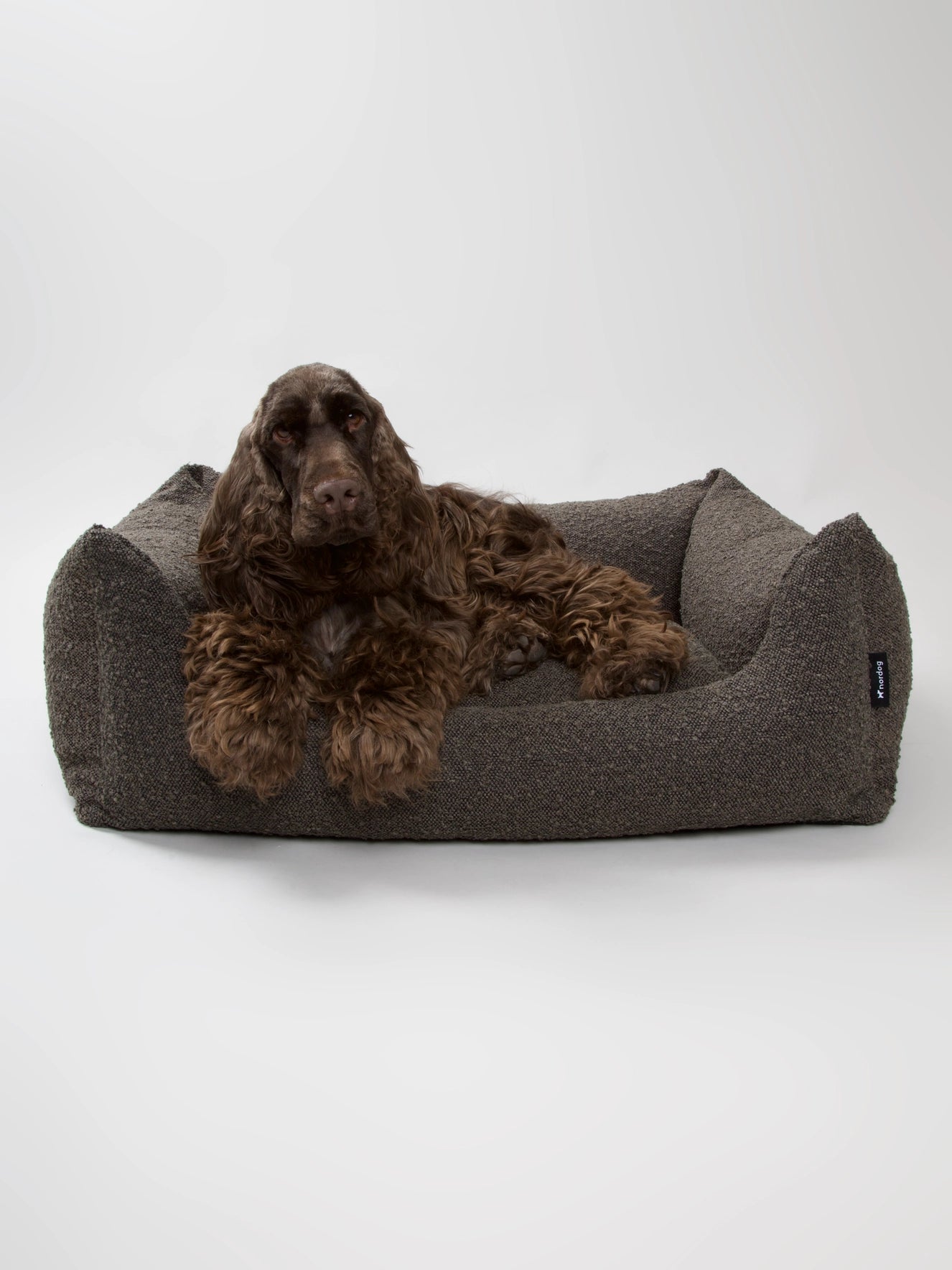 Billy Bouclé Hundeseng Mocka