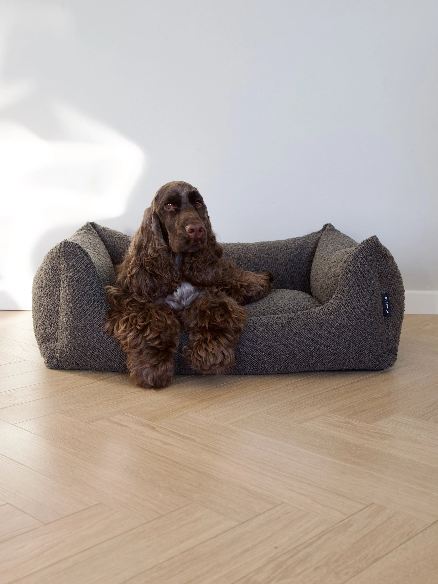 Billy Bouclé Hundeseng Mocka