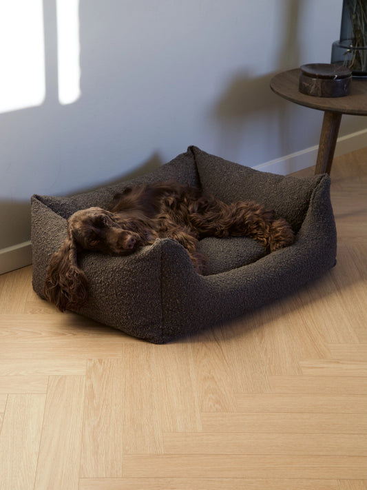 Billy Bouclé Hundeseng Mocka