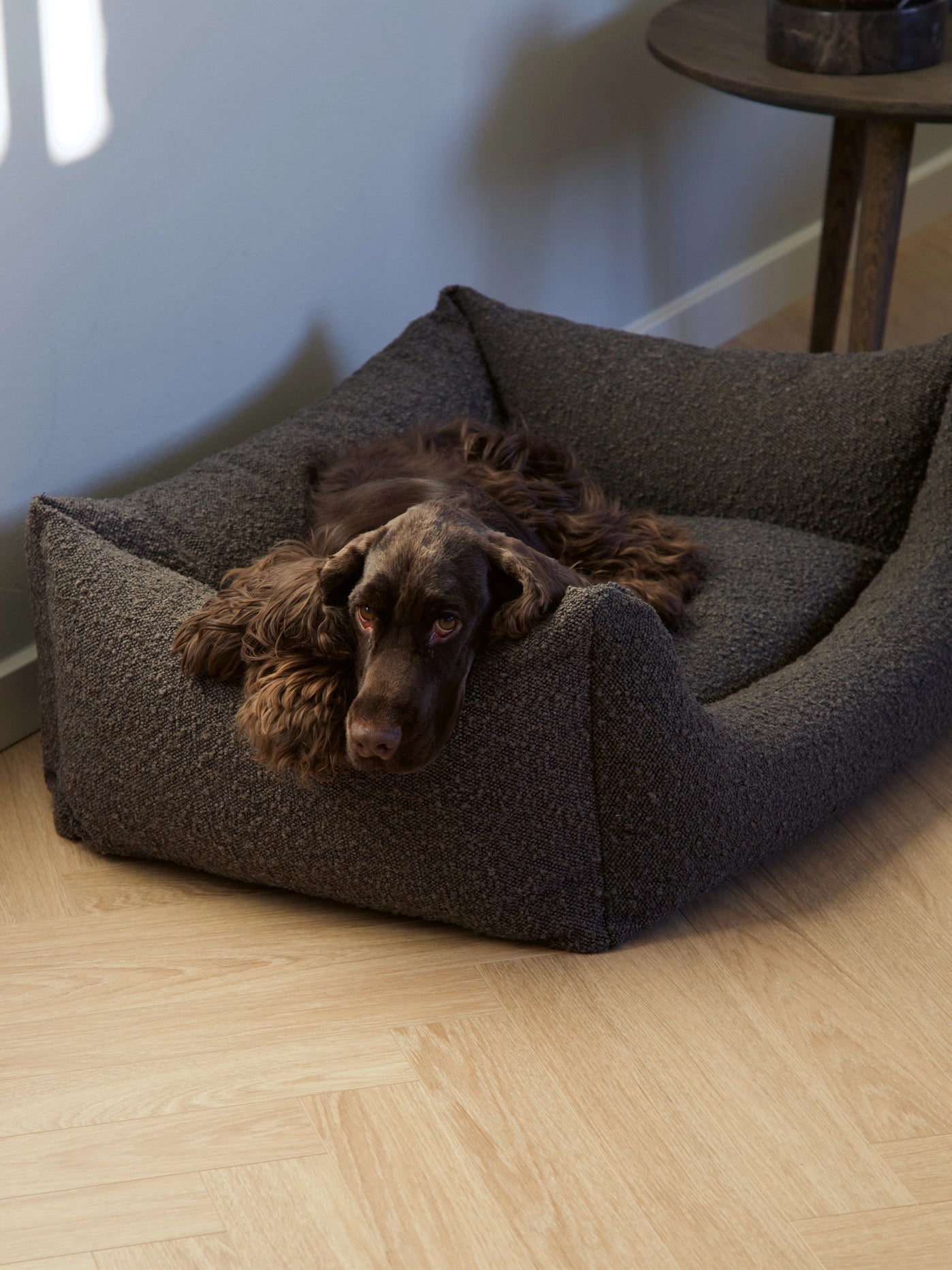 Billy Bouclé Hundeseng Mocka