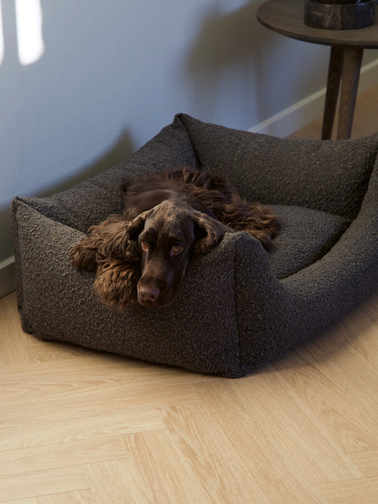 Billy Bouclé Hundeseng Mocka