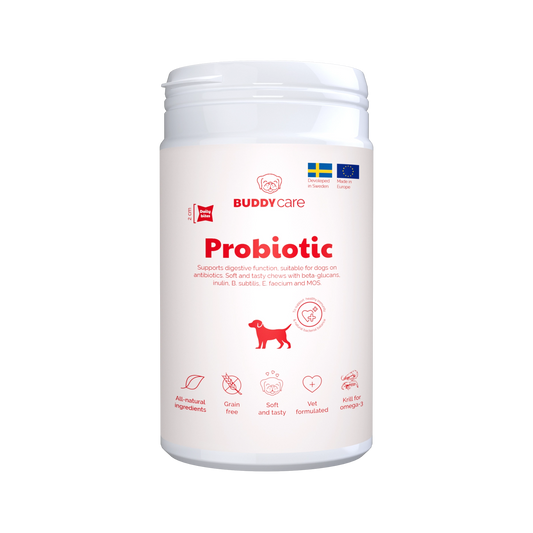 Buddy Care Probiotika 150 G