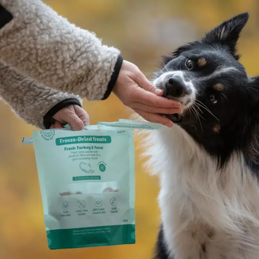 Buddy Frysetørret Godbid Rå Kalkun & Tun 100 G
