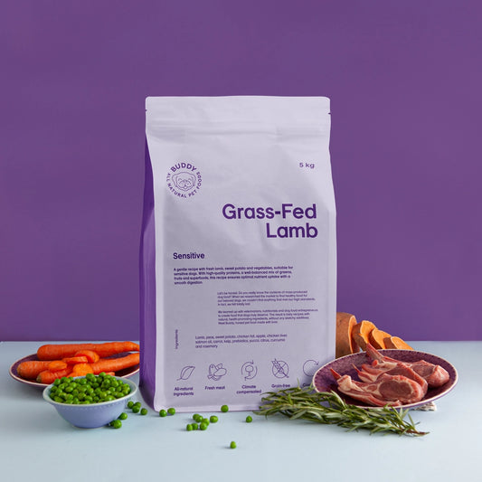 Buddy Græsfodret Lam 12 kg