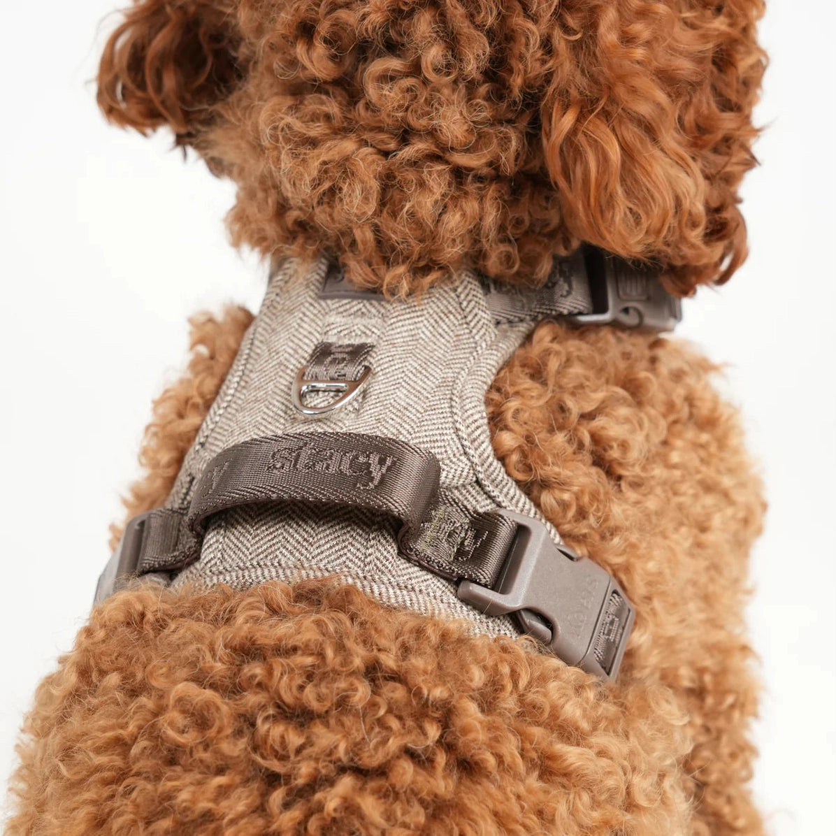 Hundesele Elma | Mocca