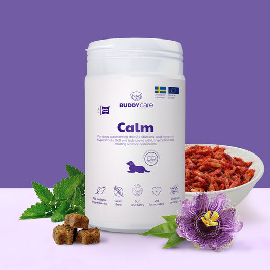 Hundetilskud Buddy Care Calm 150 G