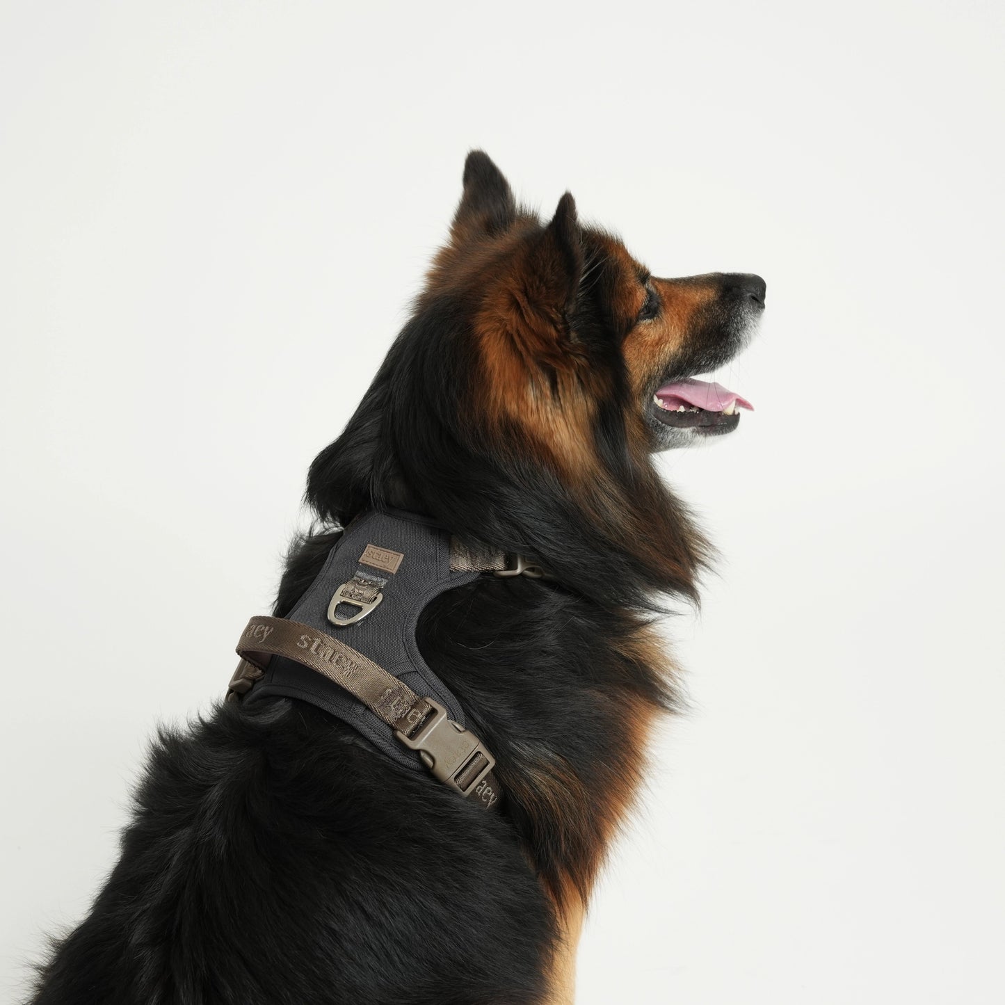 Elma Active Hundesele | Storm