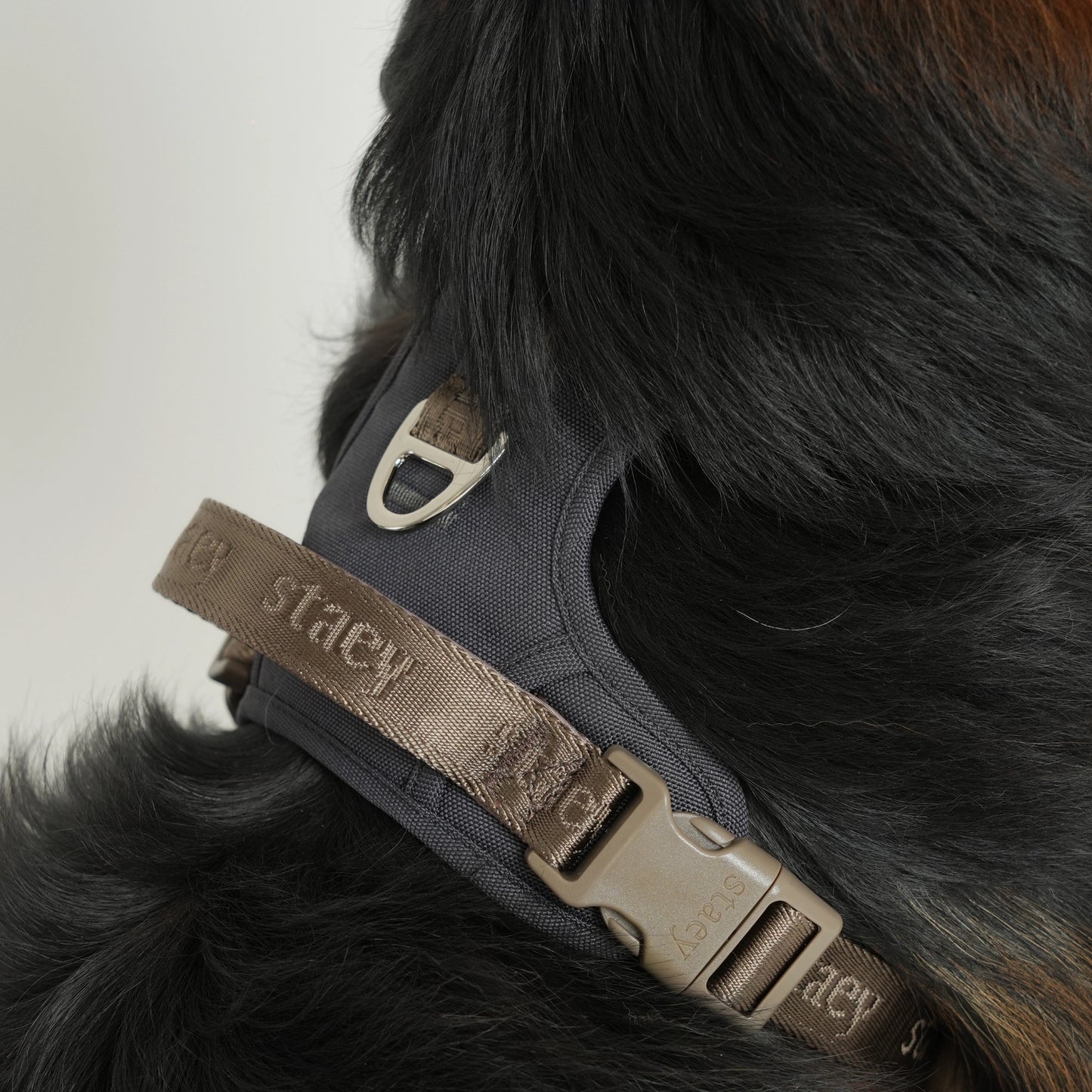 Elma Active Hundesele | Storm