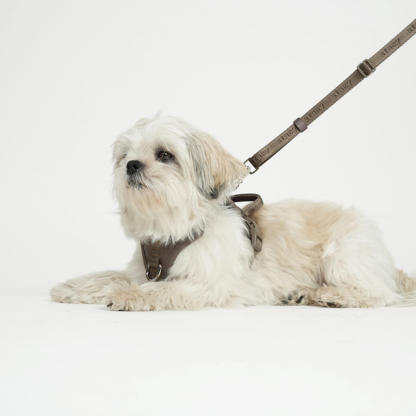 Håndfri hundesnor – Mocha