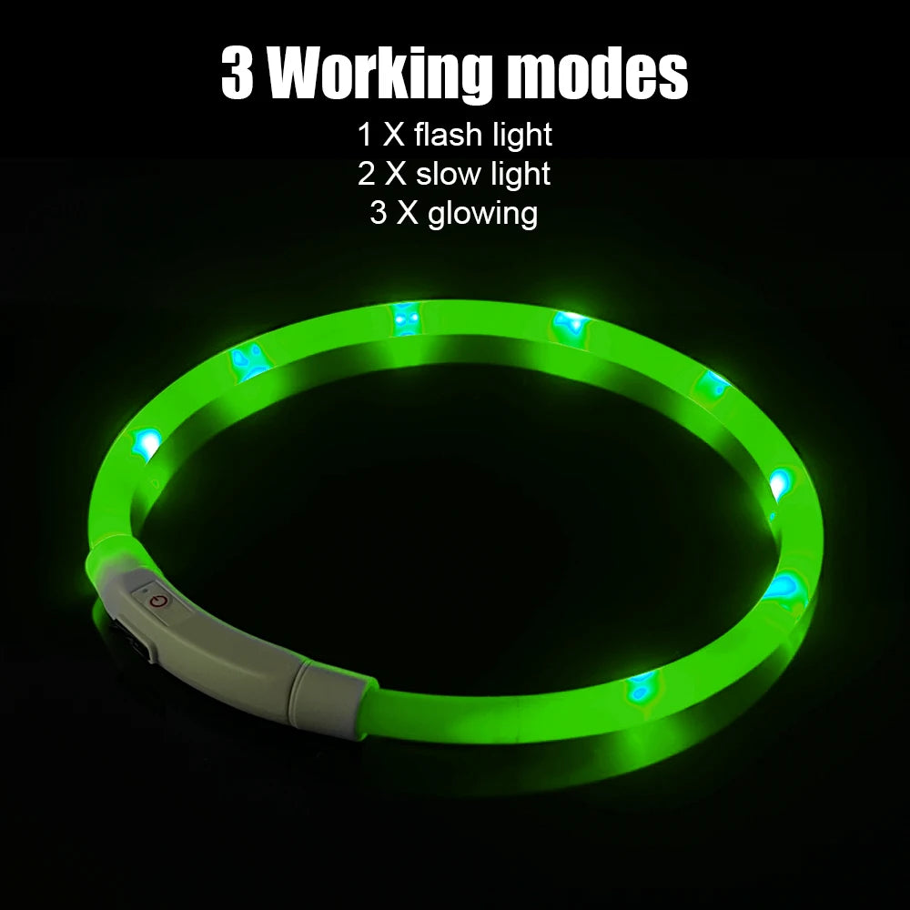 LED Genopladeligt USB Hundehalsbånd