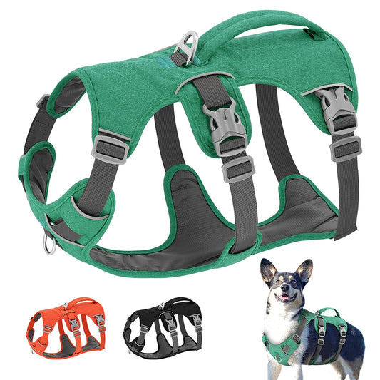 DiDog Reflekterende Nylon Hundesele