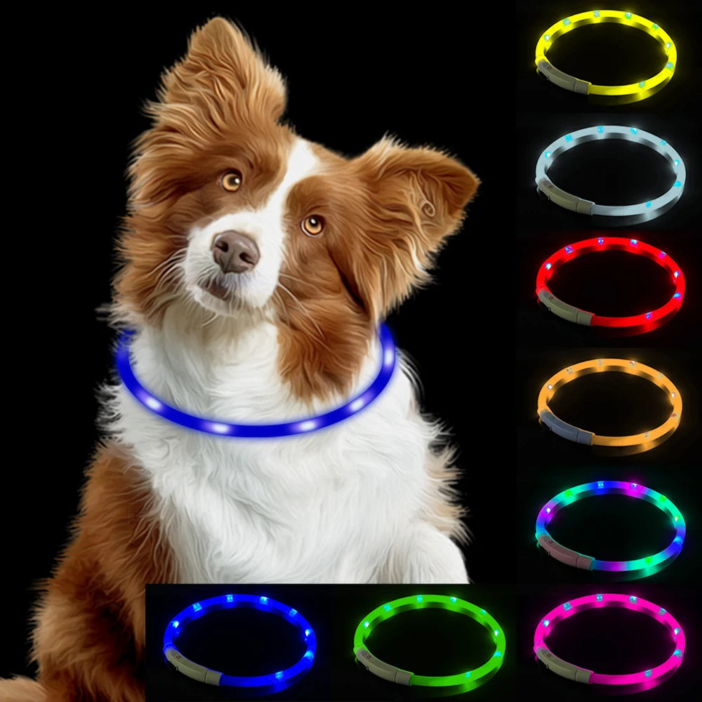 LED Genopladeligt USB Hundehalsbånd
