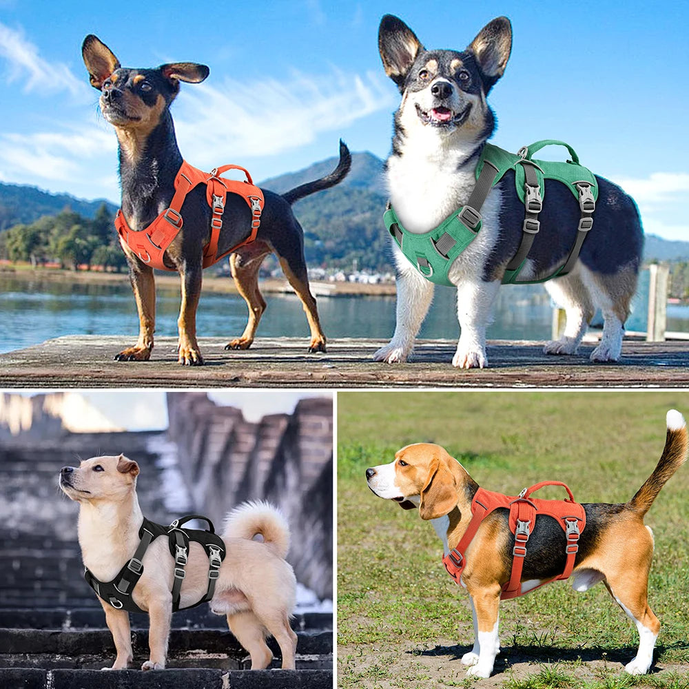 DiDog Reflekterende Nylon Hundesele