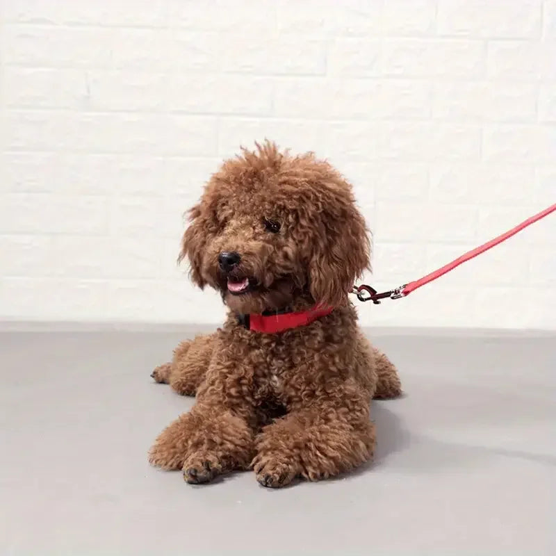 LED Hundehalsbånd