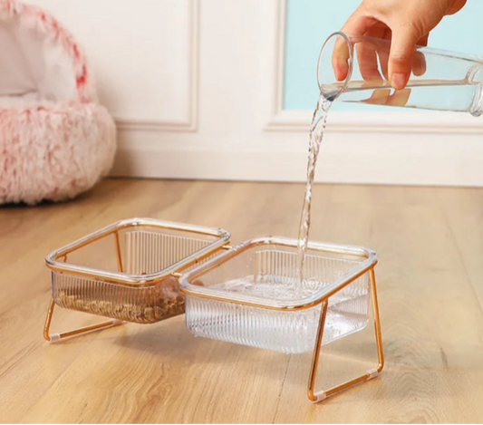 Hævede Transparente Hundeskål med Gylden Stand