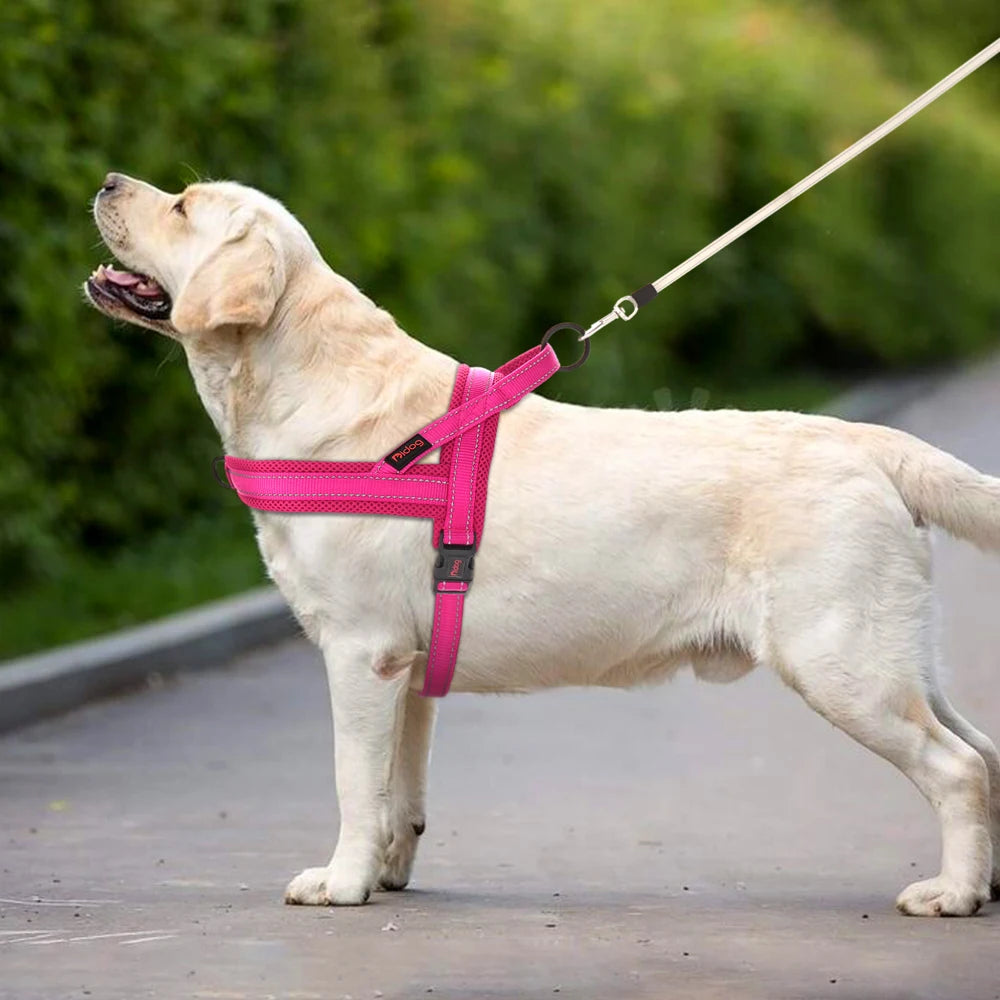 DiDog Anti-Træk Hundesele