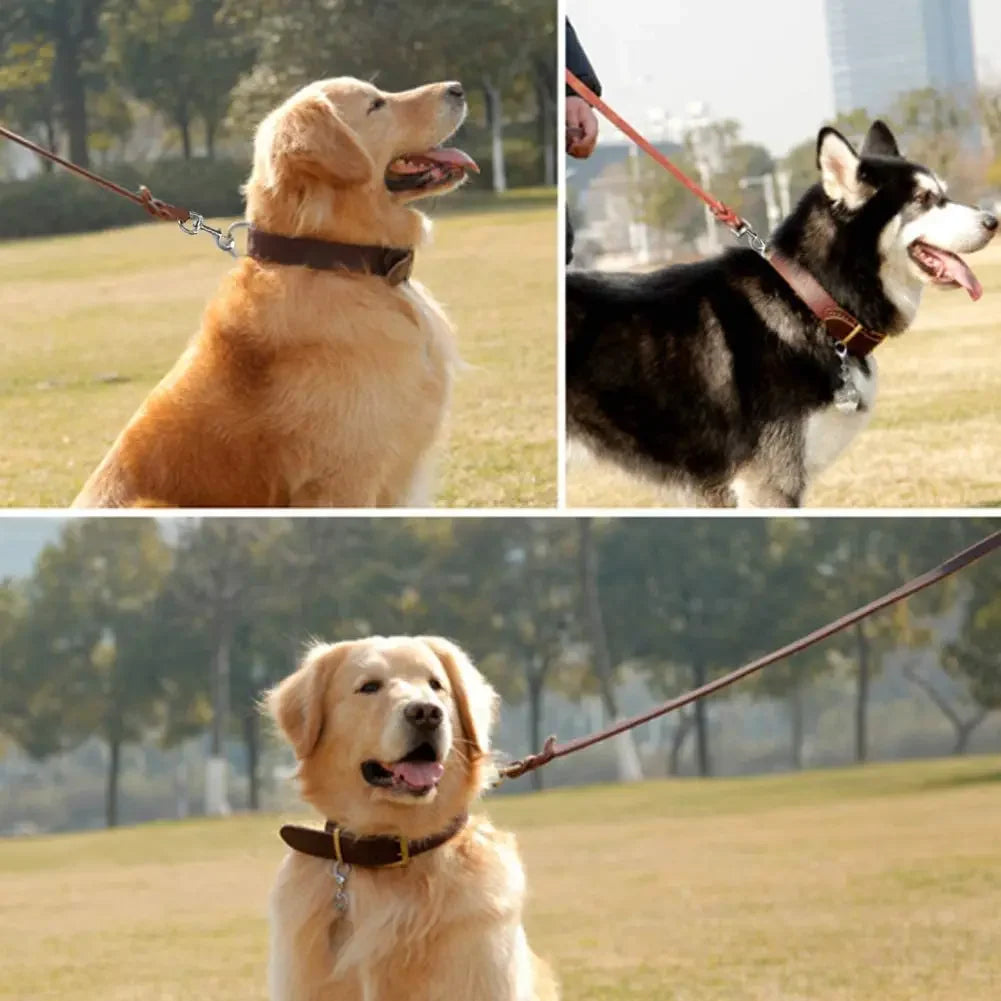 Læder hundesnor (<35 kg)