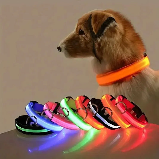 LED Hundehalsbånd