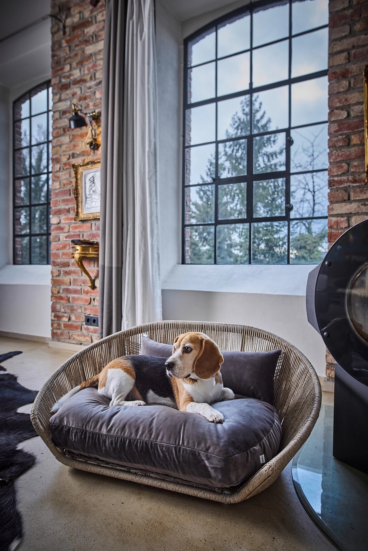 Vogue Hundeseng - Oxford Kollektion