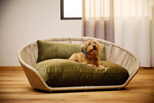 Vogue Hundeseng - Oxford Kollektion